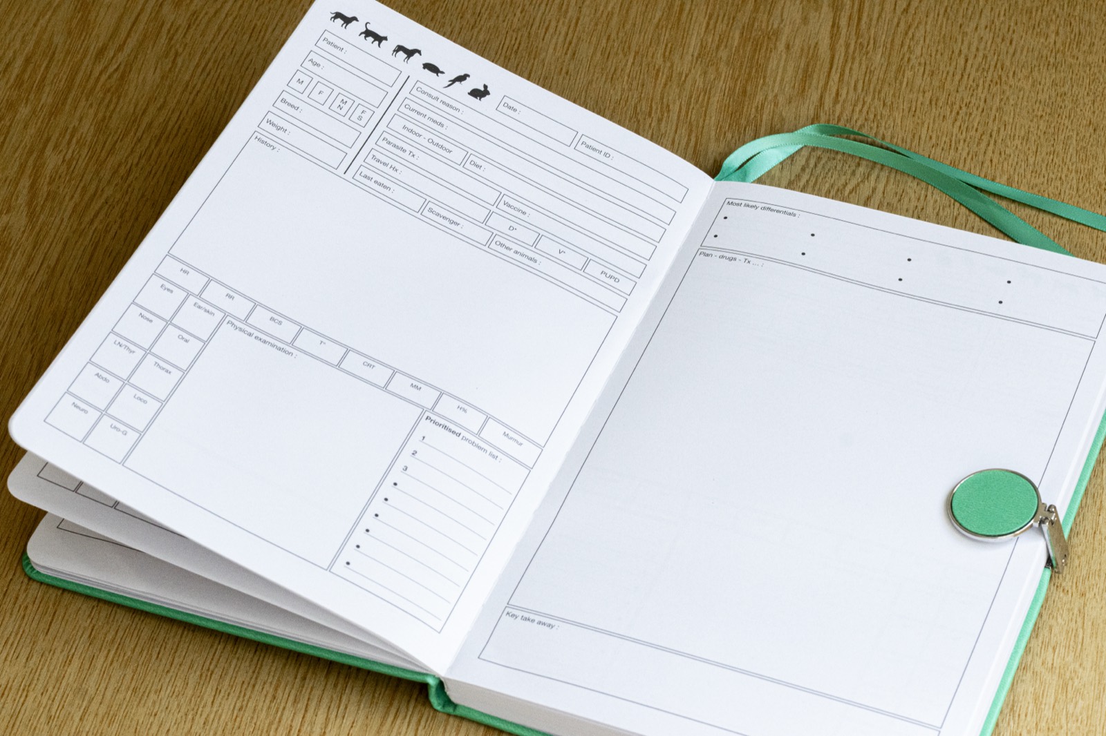 A VetCo notebook open on a double-page patient record